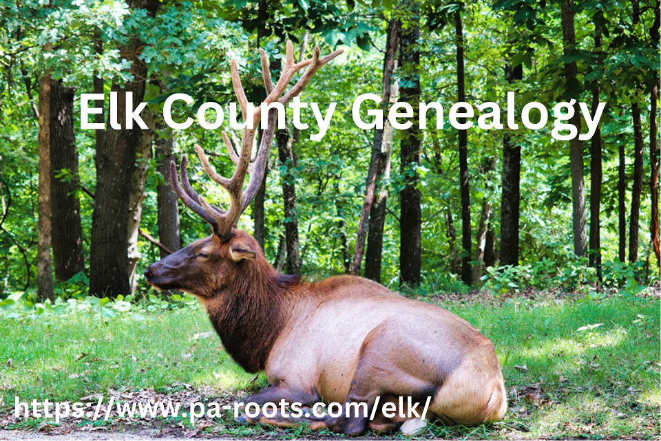 Elk County Logo